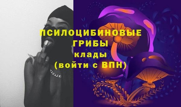 метамфетамин Богородицк