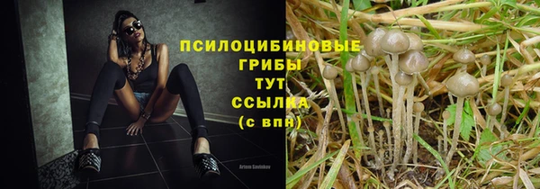 кокаин премиум Богданович