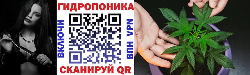 Шишки марихуана THC 21%  Купить  Суджа 